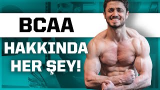 BCAA Nedir Ne Zaman Kullanılır BCAA mı Protein Tozu mu [upl. by Marsland]