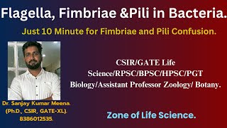 Flagella Fimbriae amp Pili in Bacteria CSIRGATE Life Science PGT Biology amp ZoologyBotany [upl. by Jennine305]