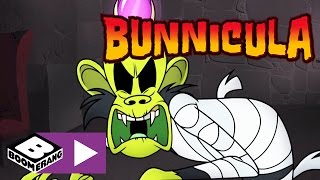 Bunnicula  Der böse Affe  Cartoonito [upl. by Gage950]