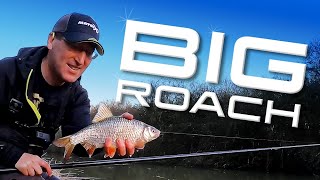 Big Roach Canal Fishing With Casters [upl. by Irac]