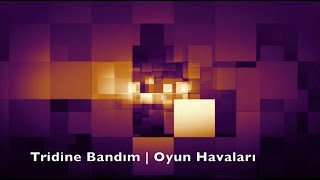 Tridine Bandım Enstrumental Oyun Havaları  Yeme de Yanında Yat [upl. by Denman]