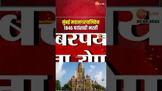 Vacancy In Mumbai Mahanagar Palika  मुंबई महानगरपालिकेत मेगाभरती १८४६ लिपिक पदं भरणार [upl. by Lindsy146]