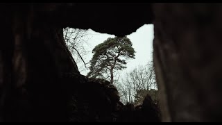 Mammal Hands – Gift from the Trees A Short Film [upl. by Andre]