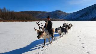 Tsaatan  les derniers nomades de Mongolie [upl. by Cassidy]