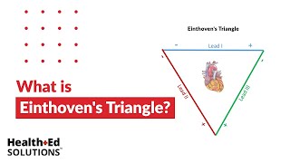 One Quick Question What is Einthovens Triangle [upl. by Nilved]