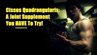 Cissus Quadrangularis A Joint Supplement You HAVE To Try  Cory McCarthy [upl. by Nivle]