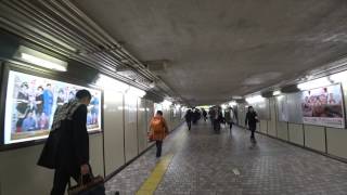 【Ueno Station】From ”Ginza Linequot To quotHibiya Linequot [upl. by Sorgalim]