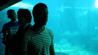 42  Raffi quotBaby Belugaquot cover by Behind Sapphire AT THE VANCOUVER AQUARIUM [upl. by Yordan]