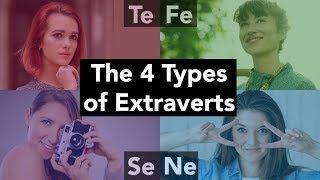 The 4 Types of Extraverts [upl. by Imeaj595]