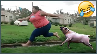 Best Fails of the Decade  Try Not to Laugh [upl. by Hazrit]