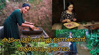 കുടംപുളി പറിച്ചു ഉണക്കാൻ എന്നെ സഹായിക്കാൻ ആരേലും ഉണ്ടോ കുറച്ച് പുളിയും തരാട്ടോsaranyas beauty [upl. by Attlee64]