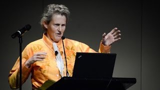 Temple Grandin quotThe Autistic Brainquot [upl. by Acisey864]