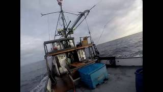 Commercial Albacore Fishing 100 miles off coast oregon [upl. by Graubert]