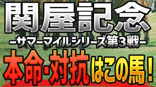 関屋記念2023【予想】本命と対抗はコレで決まり🐴 ～枠順確定前の競馬予想～【JRAサマーマイルシリーズ】 [upl. by Eanat]