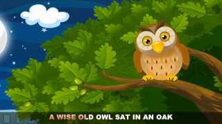 A Wise Old Owl with lyrics  Nursery Rhymes by EFlashApps [upl. by Evans516]