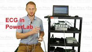 ECG in PowerLab [upl. by Esac]