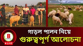 Live গাড়ল পালন নিয়ে গুরুত্বপূর্ণ আলোচনা ও গাড়ল কিভাবে পরিচর্যা করবেন । garol khamar Bangladesh [upl. by Ikkim]