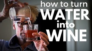 How To Turn Water Into Wine CRAZY Party Magic Trick Revealed [upl. by Anailuy]