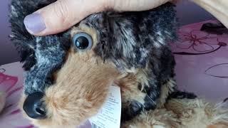 Unboxing Nipper the Cattle DogRetriever Mix Plush Puppy by Douglas Cuddle Toys 🥰🐶 [upl. by Collie]