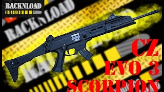 CZ Scorpion Evo 3 S1 22lr Carbine [upl. by Ransom]