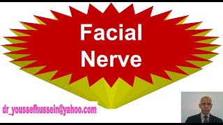 Facial nerve  Chorda tympani  Greater petrosal nerve  Facial palsy  Bells palsy [upl. by Avilo]