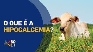 O que é HIPOCALCEMIA FEBRE DO LEITE em Vacas Leiteiras [upl. by Annaear542]