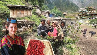 Unseen Pakistani Village Life at Top of Coldest Mountain  Ancient Culture  Stunning Pakistan [upl. by Norej454]