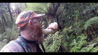 Part 3 quotElusive Bush Bullsquot Fiordland NZ  Wapiti ballot block George river 1st period 2019 [upl. by Gnohc]