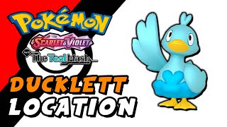 Pokemon Scarlet amp Violet The Teal Mask DLC  Ducklett Location [upl. by Voltmer]