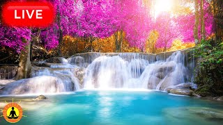 🔴 Study Music 247 Concentration Focus Music Relaxing Music Meditation Work Calm Music River [upl. by Aissej327]