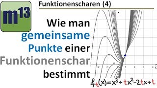 4 gemeinsame Punkte einer Funktionenschar bestimmen [upl. by Espy590]