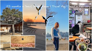 25 months in Seoul South Korea  Travel Vlog  Seoul in February  Solo Traveler  Part 2 [upl. by Deckert]