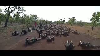 military training camps in Ghana daboya camp [upl. by Morgenthaler241]