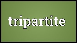 Tripartite Meaning [upl. by Lorette734]