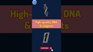 Mastering PCR 7 Tips for Accurate and Reliable Results How to Avoid Common PCR Mistakes [upl. by Nwahs]