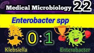 Enterobacter and Klebsiella Similarities and differences شرح بالعربي E cloacae E aerogenes [upl. by Alvan]