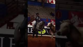 cactusropes horse equines countrymusic apexboots cowboymusic equinety memes equinety [upl. by Bradwell]