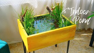 DIY Easy Mini Indoor Pond For Tiny Fishes [upl. by O'Neill484]