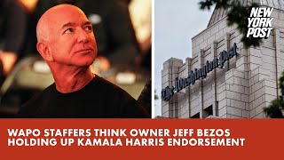 Washington Post staffers suspect owner Jeff Bezos holding up Kamala Harris endorsement report [upl. by Notsirk]