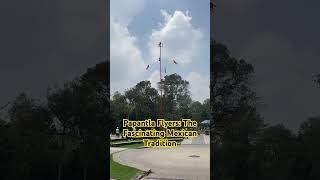 Papantla Flyers The Fascinating Mexican Tradition shortsyoutube shortvideo shortsfeed short [upl. by Rangel168]