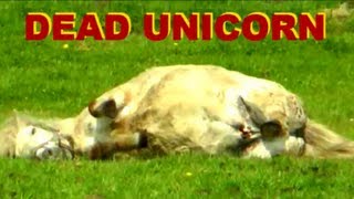 DYING UNICORN caught on tape  May 2013 [upl. by Eisyak]