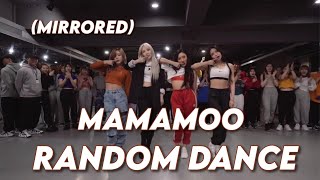 Mamamoo RANDOM DANCE  August 2023 [upl. by Ahsimit]