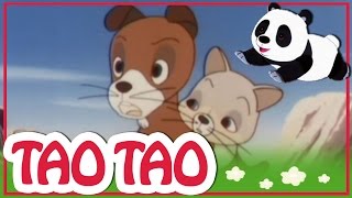 Tao Tao  episodi 31  Vaellus [upl. by Kovacs]