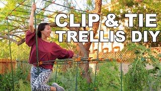 How To Build Easy Trellis For Luffas Cucumbers Beans [upl. by Eirrot]