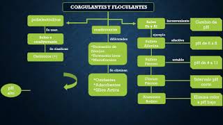 Todo sobre Clarificantes y Floculantes [upl. by Ddot]