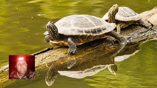 Tierpark und Fossilium Bochum in 4K [upl. by Ymeraj]