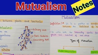 Mutualism  Mutualism class 12  Mutualism in ecosystem  Mutualism ecology [upl. by Galven]