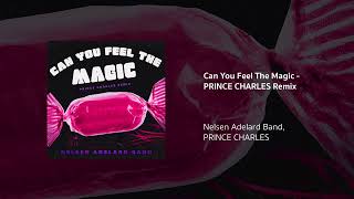 Nelsen Adelard Band PRINCE CHARLES  Can You Feel The Magic PRINCE CHARLES Remix [upl. by Ahsauqram]