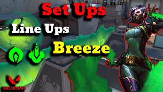 VIPER Setups y Lineups Breeze  VIPER GUIA COMPLETA 2024 [upl. by Pinsky696]