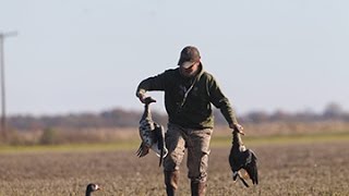 Arkansas Wildlife  S1E8 Specklebelly Goose Hunting and Recipe [upl. by Naihtsirc]